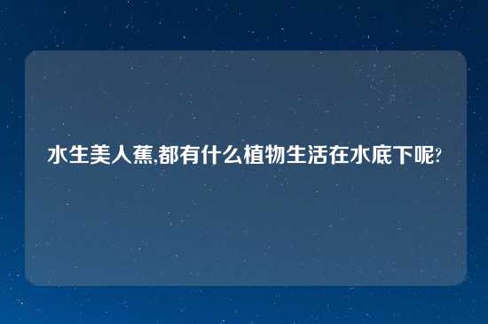 水生美人蕉,都有什么植物生活在水底下呢?