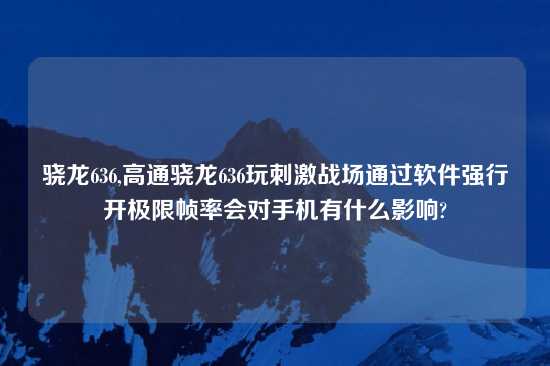 骁龙636,高通骁龙636玩刺激战场通过软件强行开极限帧率会对手机有什么影响?