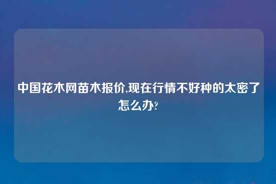 中国花木网苗木报价,现在行情不好种的太密了怎么办?