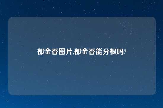 郁金香图片,郁金香能分根吗?