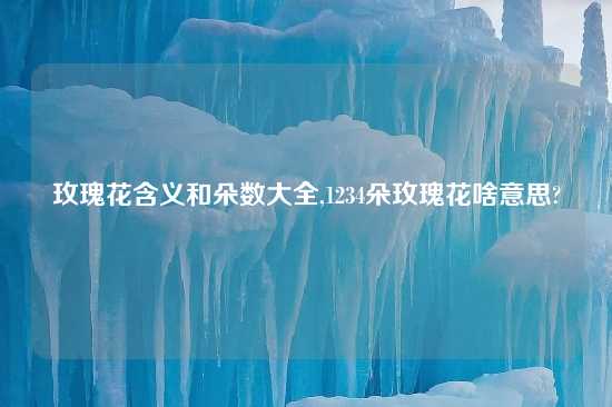 玫瑰花含义和朵数大全,1234朵玫瑰花啥意思?