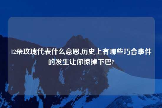 12朵玫瑰代表什么意思,历史上有哪些巧合事件的发生让你惊掉下巴?