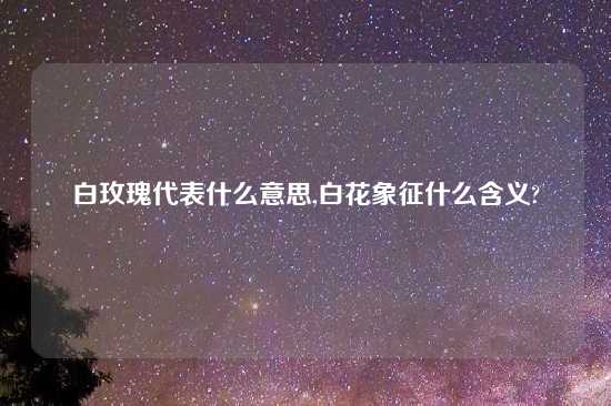 白玫瑰代表什么意思,白花象征什么含义?