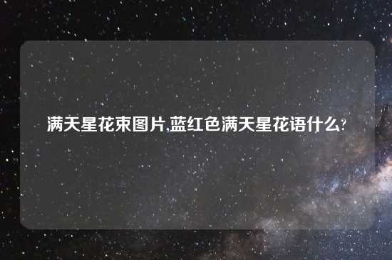 满天星花束图片,蓝红色满天星花语什么?