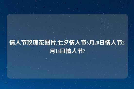 情人节玫瑰花图片,七夕情人节5月20日情人节2月14日情人节?