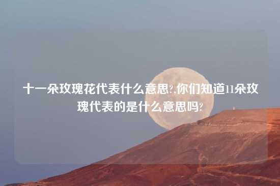 十一朵玫瑰花代表什么意思?,你们知道11朵玫瑰代表的是什么意思吗?