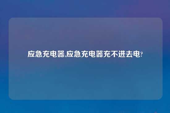 应急充电器,应急充电器充不进去电?