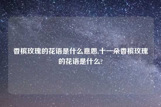 香槟玫瑰的花语是什么意思,十一朵香槟玫瑰的花语是什么?