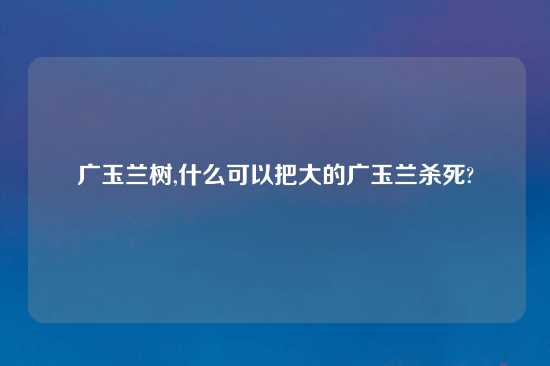 广玉兰树,什么可以把大的广玉兰杀死?