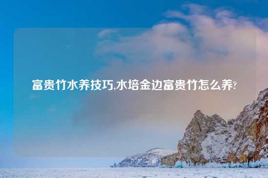 富贵竹水养技巧,水培金边富贵竹怎么养?