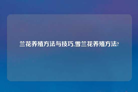 兰花养殖方法与技巧,雪兰花养殖方法?