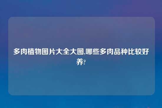 多肉植物图片大全大图,哪些多肉品种比较好养?