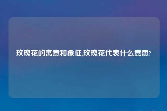 玫瑰花的寓意和象征,玫瑰花代表什么意思?