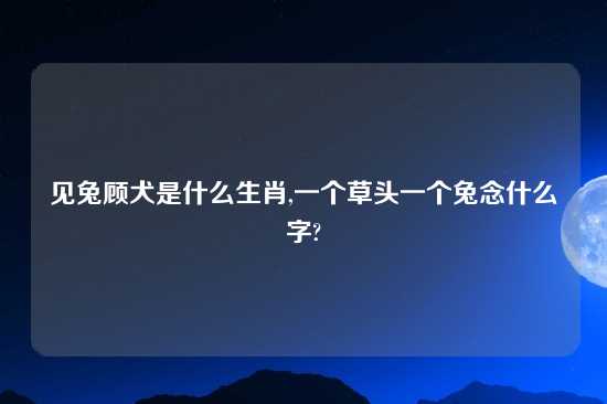 见兔顾犬是什么生肖,一个草头一个兔念什么字?