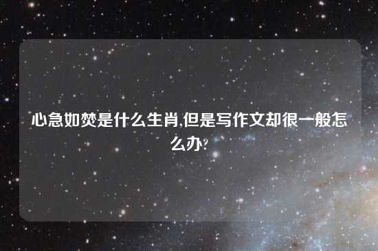 心急如焚是什么生肖,但是写作文却很一般怎么办?