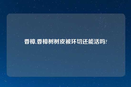 香樟,香樟树树皮被环切还能活吗?