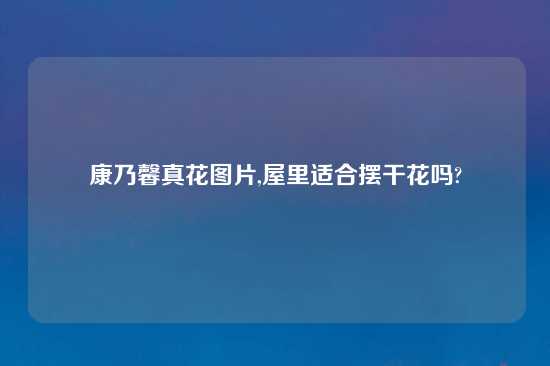 康乃馨真花图片,屋里适合摆干花吗?