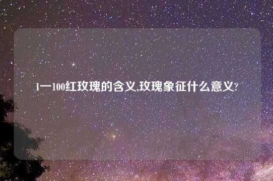 1一100红玫瑰的含义,玫瑰象征什么意义?