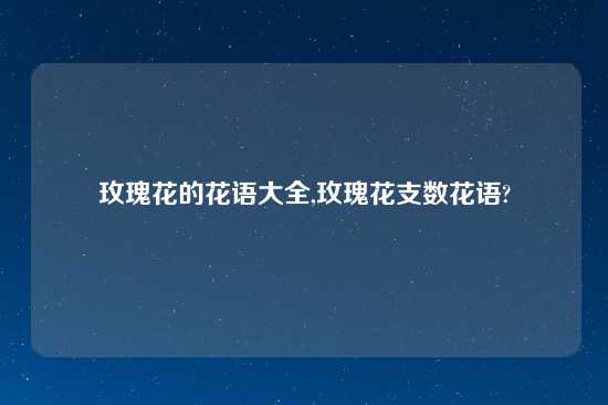 玫瑰花的花语大全,玫瑰花支数花语?