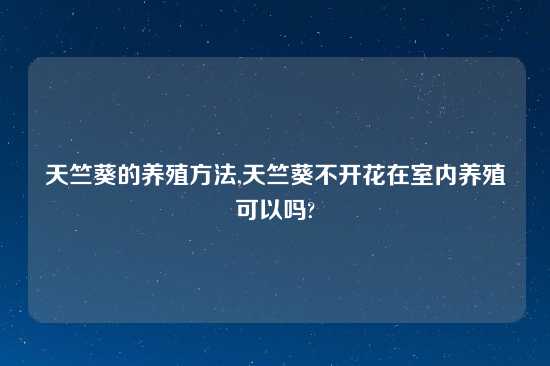 天竺葵的养殖方法,天竺葵不开花在室内养殖可以吗?