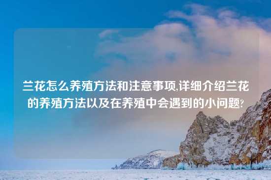 兰花怎么养殖方法和注意事项,详细介绍兰花的养殖方法以及在养殖中会遇到的小问题?