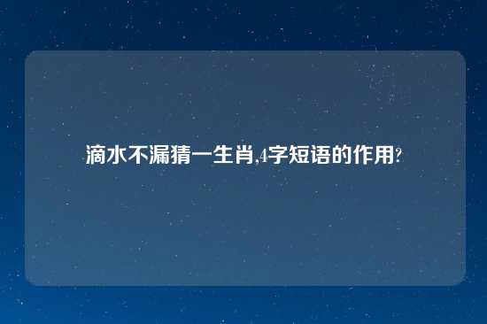 滴水不漏猜一生肖,4字短语的作用?