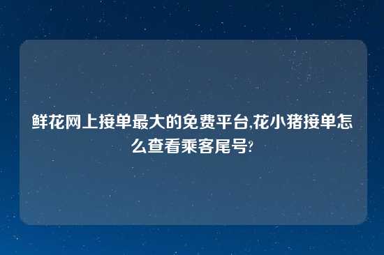 鲜花网上接单最大的免费平台,花小猪接单怎么查看乘客尾号?