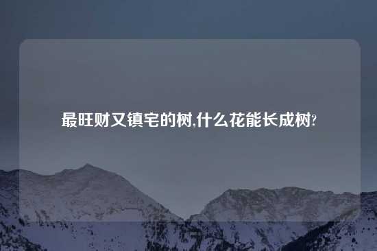 最旺财又镇宅的树,什么花能长成树?