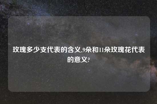 玫瑰多少支代表的含义,9朵和11朵玫瑰花代表的意义?