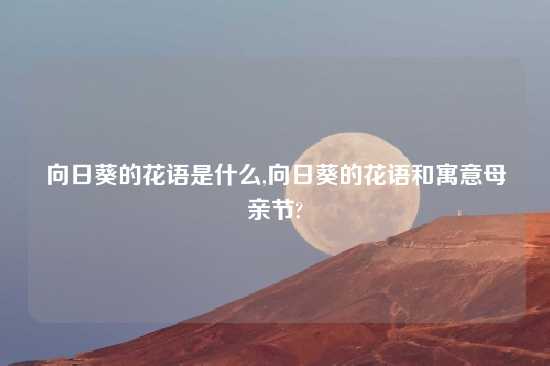 向日葵的花语是什么,向日葵的花语和寓意母亲节?