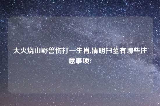 大火烧山野兽伤打一生肖,清明扫墓有哪些注意事项?