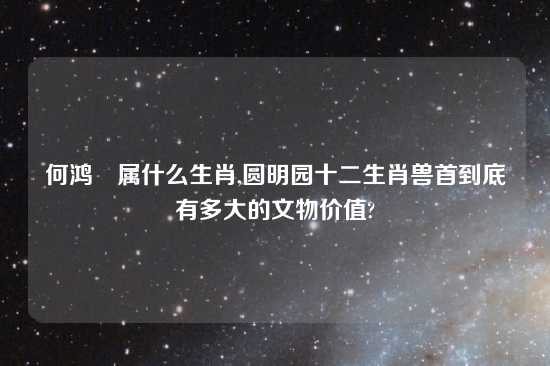 何鸿燊属什么生肖,圆明园十二生肖兽首到底有多大的文物价值?