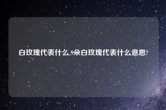 白玫瑰代表什么,9朵白玫瑰代表什么意思?