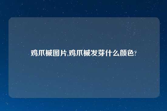 鸡爪槭图片,鸡爪槭发芽什么颜色?