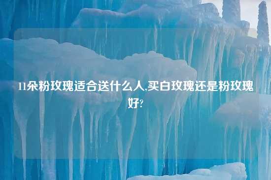 11朵粉玫瑰适合送什么人,买白玫瑰还是粉玫瑰好?