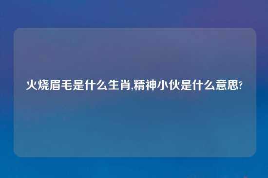 火烧眉毛是什么生肖,精神小伙是什么意思?