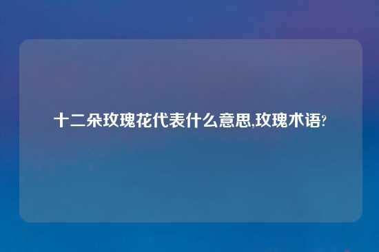 十二朵玫瑰花代表什么意思,玫瑰术语?