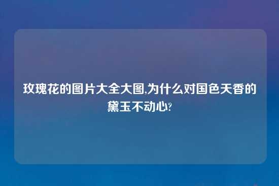 玫瑰花的图片大全大图,为什么对国色天香的黛玉不动心?