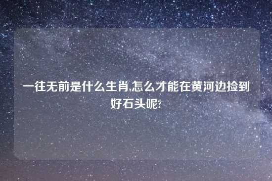 一往无前是什么生肖,怎么才能在黄河边捡到好石头呢?