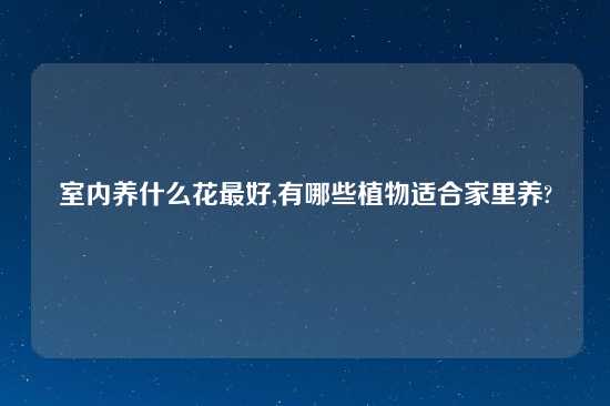 室内养什么花最好,有哪些植物适合家里养?