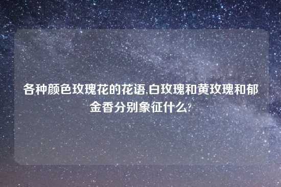 各种颜色玫瑰花的花语,白玫瑰和黄玫瑰和郁金香分别象征什么?