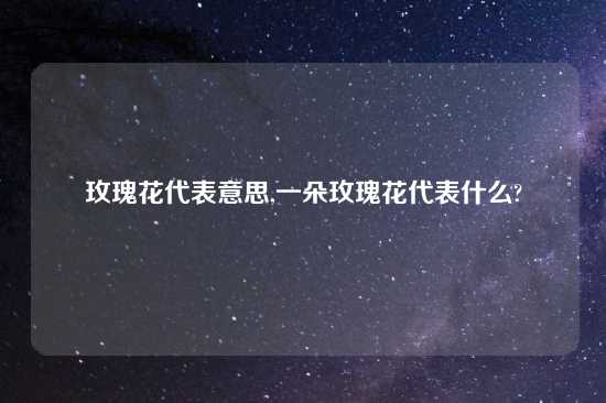 玫瑰花代表意思,一朵玫瑰花代表什么?