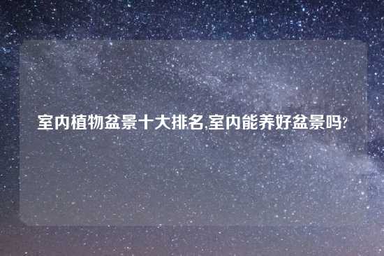 室内植物盆景十大排名,室内能养好盆景吗?