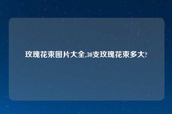 玫瑰花束图片大全,30支玫瑰花束多大?