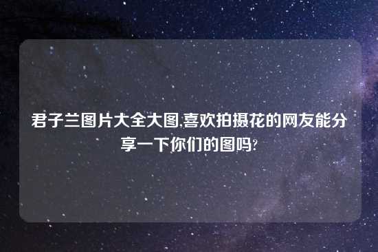 君子兰图片大全大图,喜欢拍摄花的网友能分享一下你们的图吗?