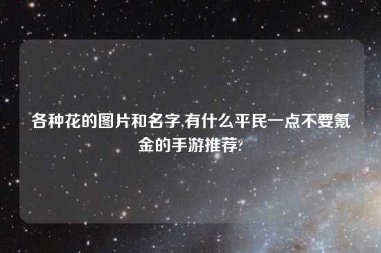 各种花的图片和名字,有什么平民一点不要氪金的手游推荐?