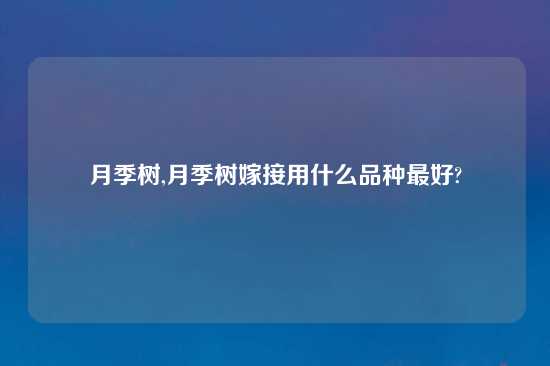 月季树,月季树嫁接用什么品种最好?