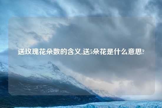 送玫瑰花朵数的含义,送5朵花是什么意思?