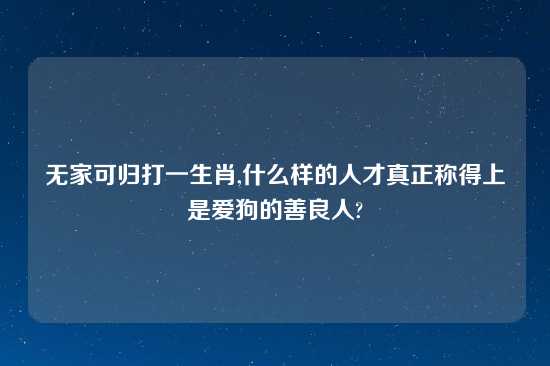 无家可归打一生肖,什么样的人才真正称得上是爱狗的善良人?