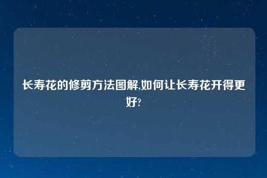 长寿花的修剪方法图解,如何让长寿花开得更好?